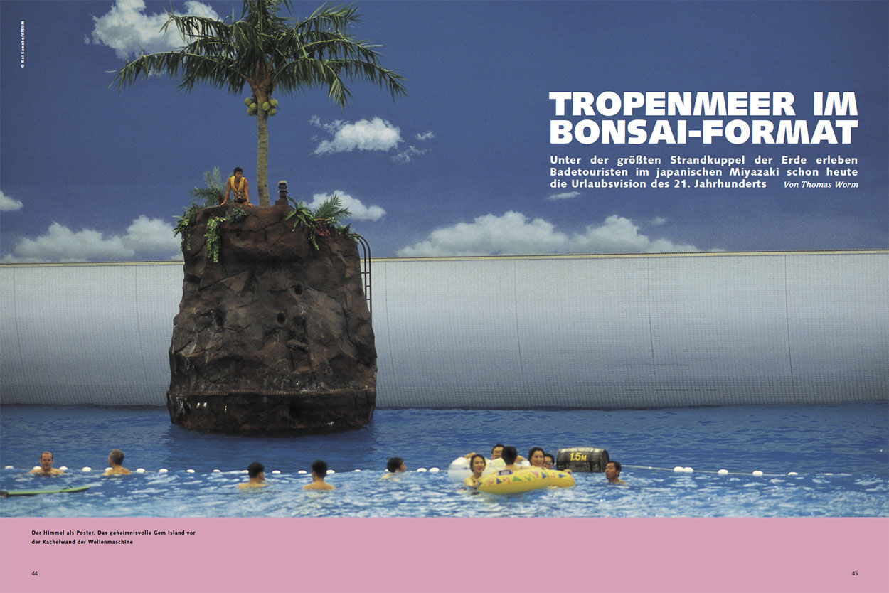 Tropenmeer im Bonsai-Format