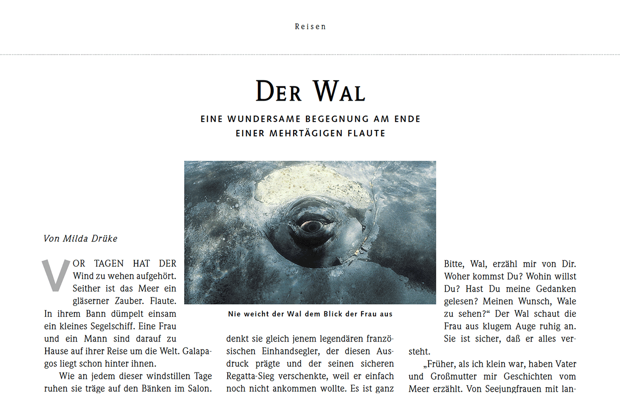 Der Wal