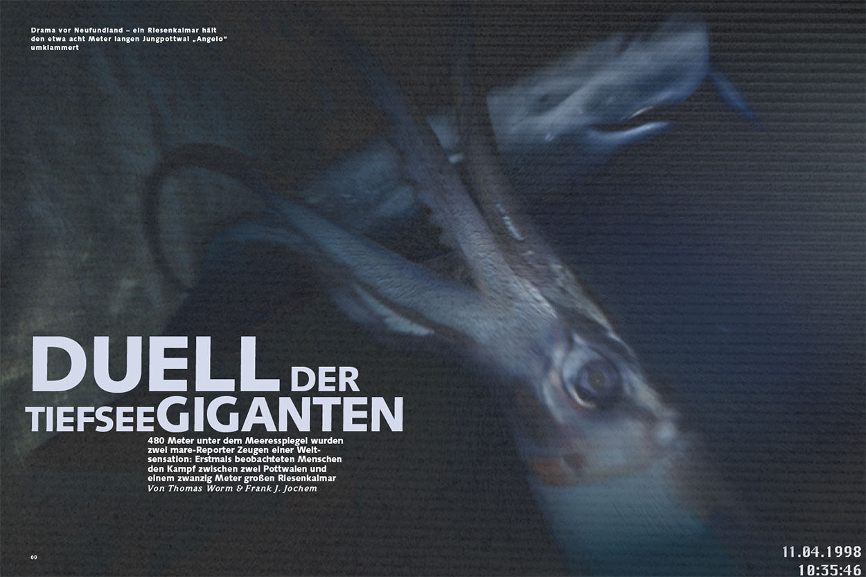 Duell der Tiefseegiganten