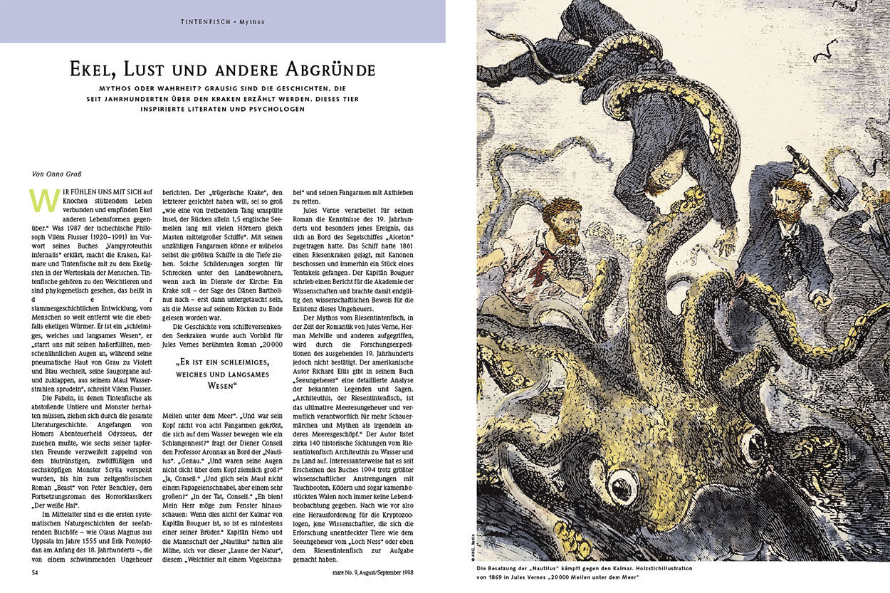 Ekel, Lust und andere Abgründe