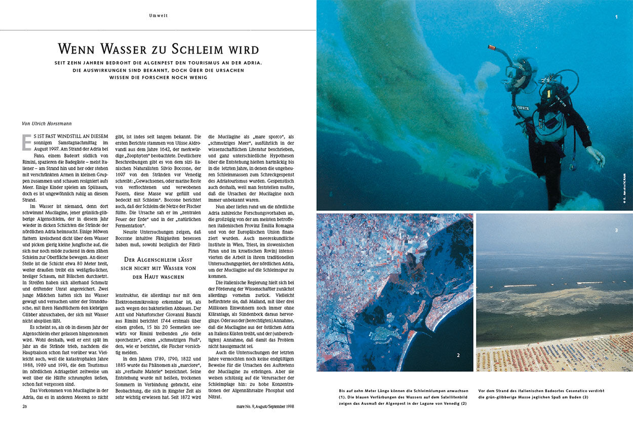 Wenn Wasser zu Schleim wird