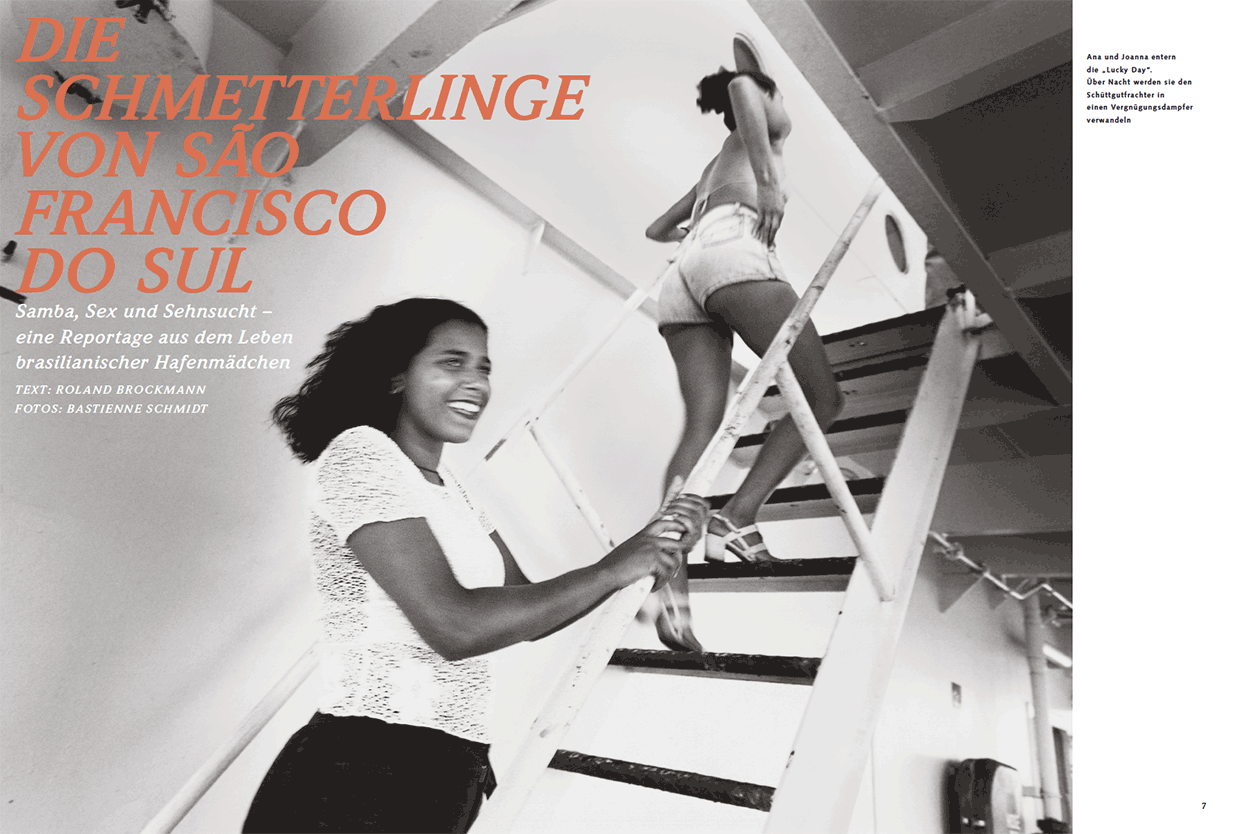 Die Schmetterlinge von São Francisco