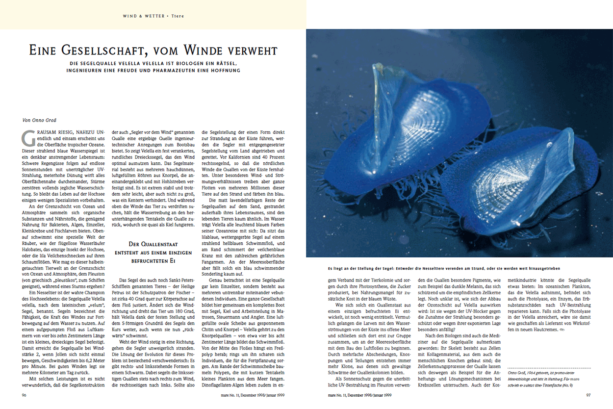 Eine Gesellschaft, vom Winde verweht