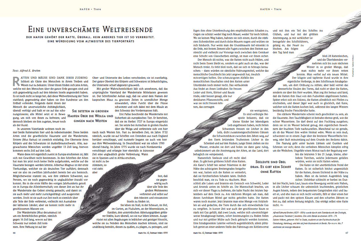 Eine unverschämte Weltreisende