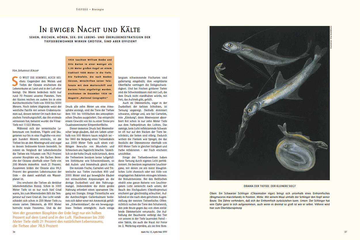 In ewiger Nacht und Kälte