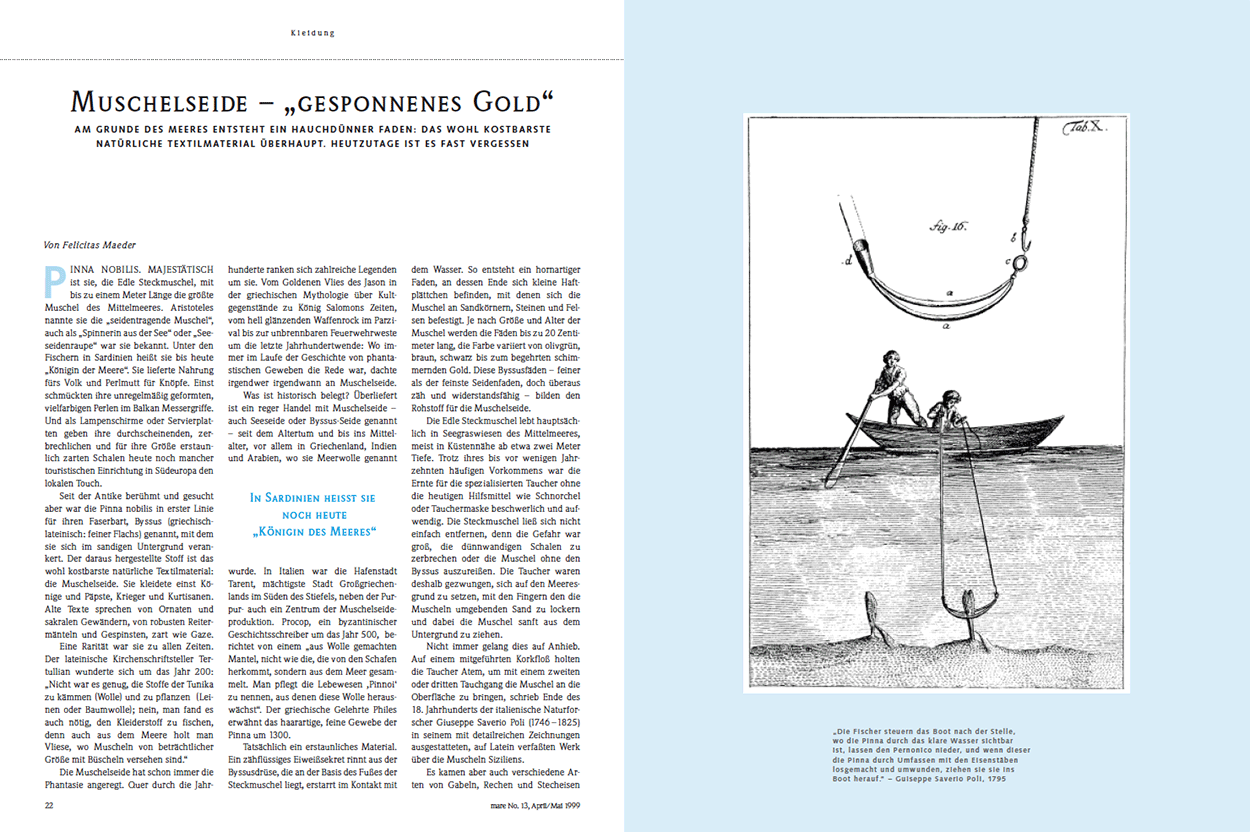 Muschelseide – „Gesponnenes Gold“