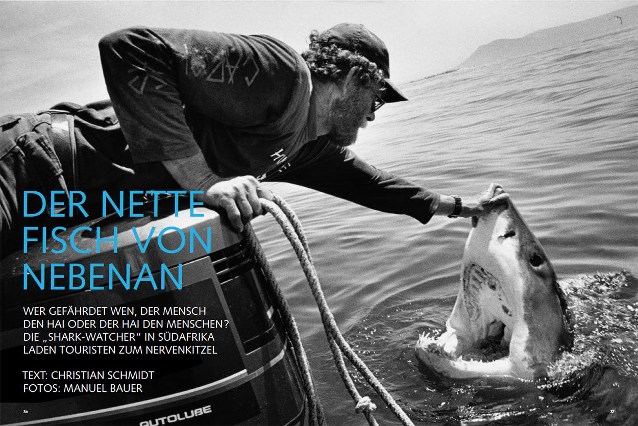 Der nette Fisch von nebenan