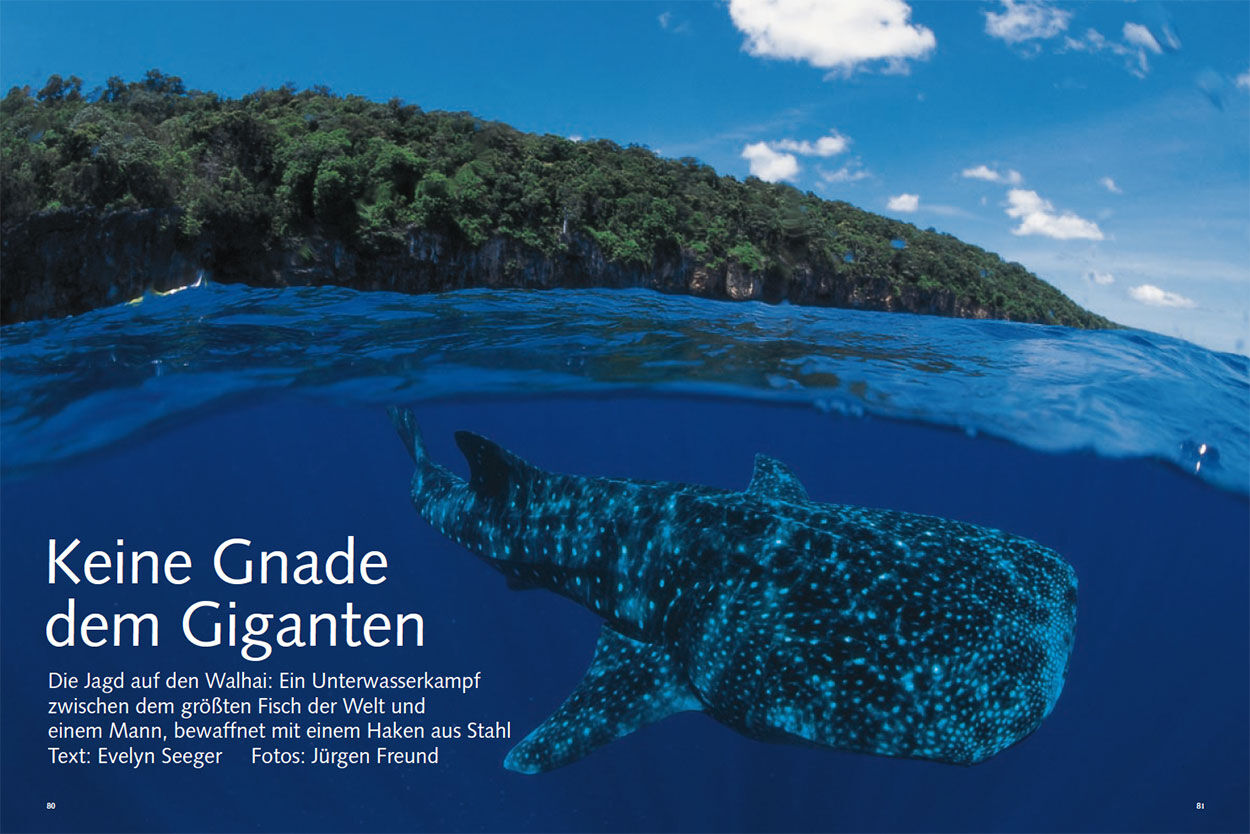 Keine Gnade dem Giganten