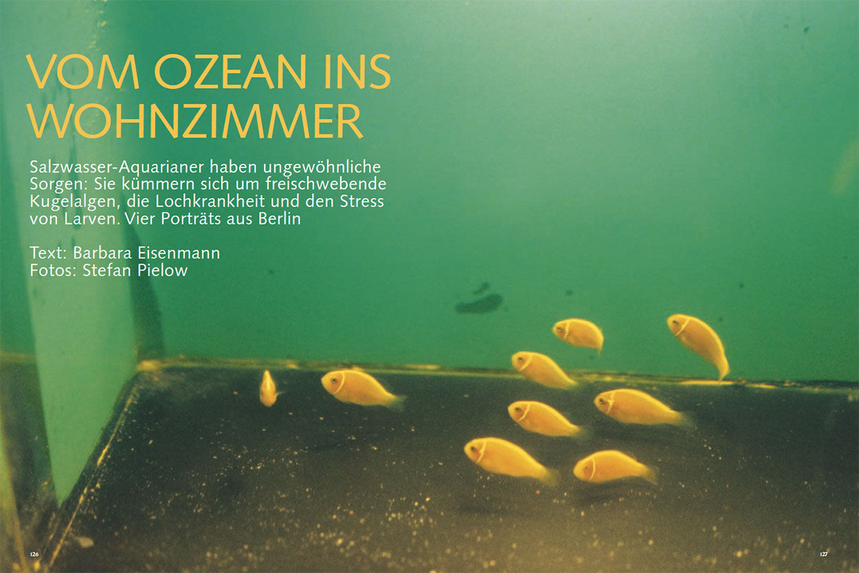 Vom Ozean ins Wohnzimmer