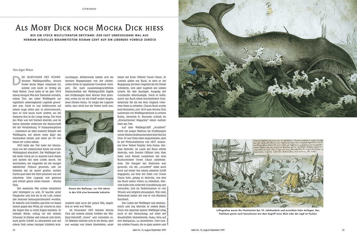 Als Moby Dick noch Mocha Dick hiess