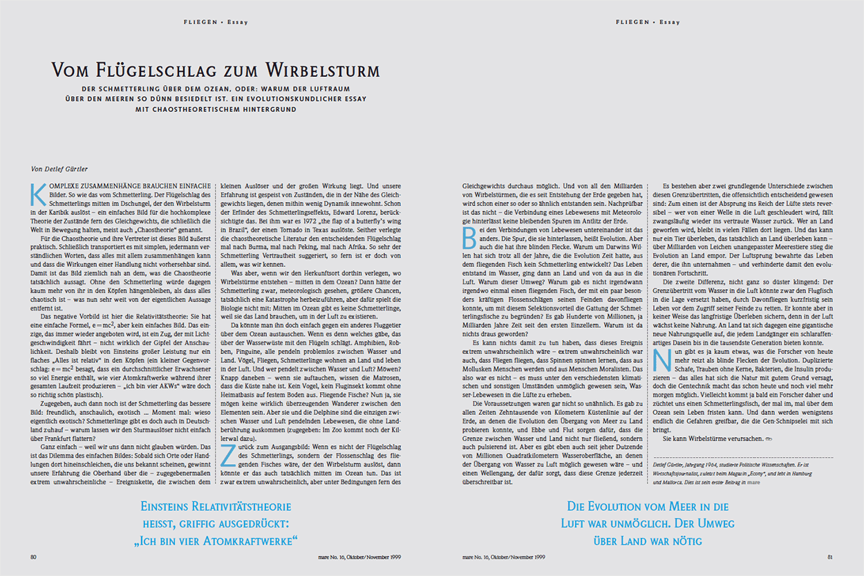 Vom Flügelschlag zum Wirbelsturm