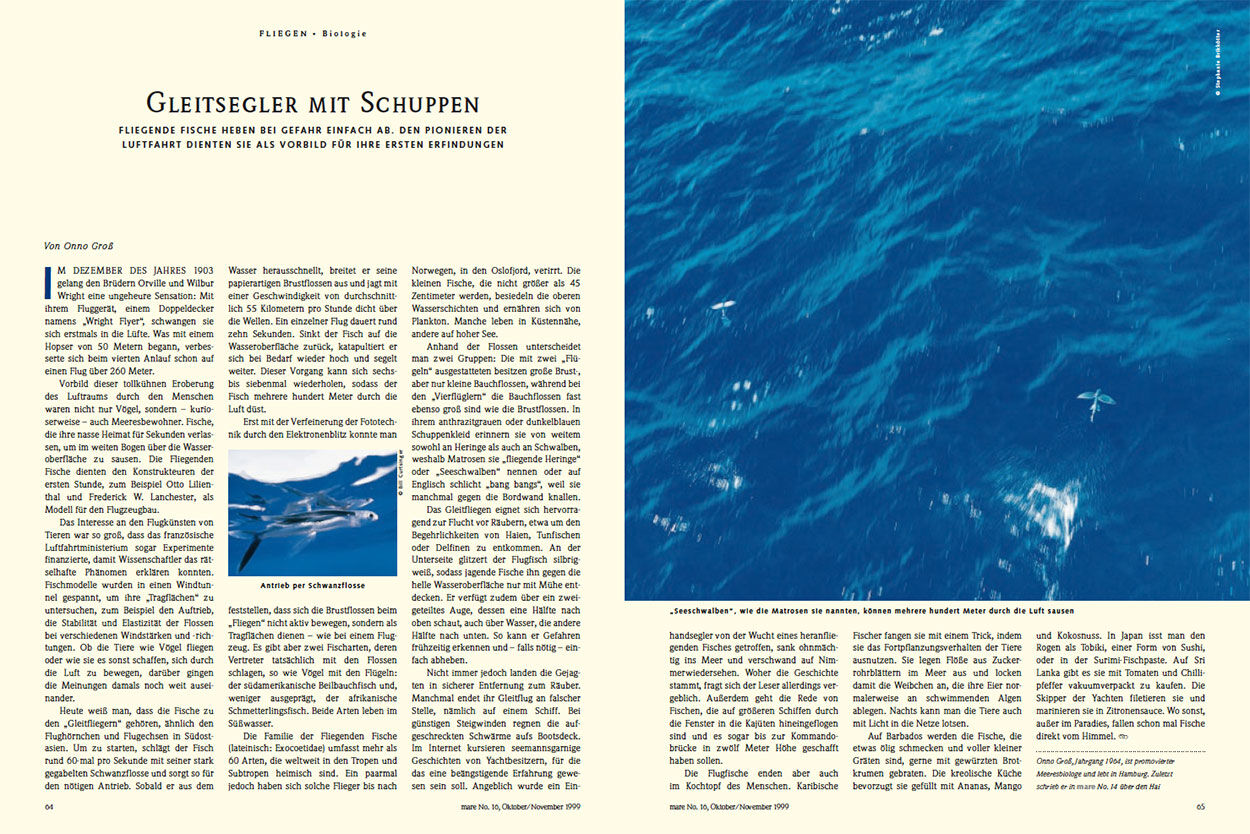 Gleitsegler mit Schuppen