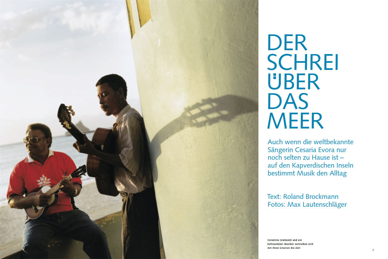 Der Schrei über das Meer