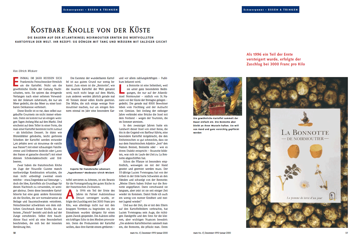 Kostbare Knolle von der Küste