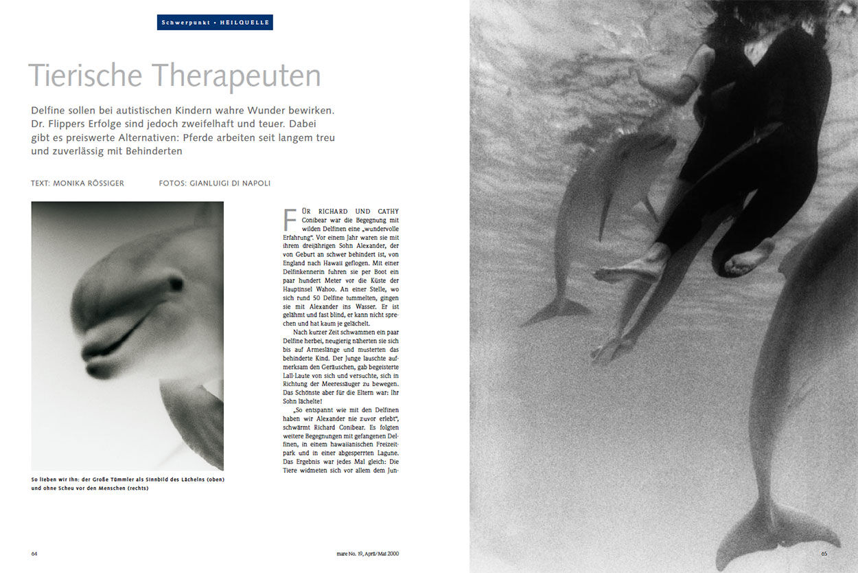 Tierische Therapeuten