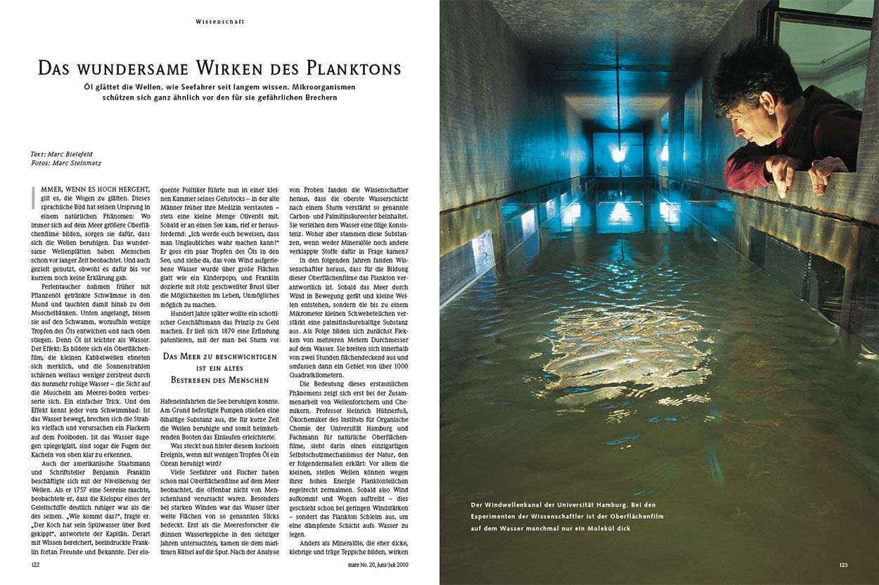 Das wunderbare Wirken des Planktons