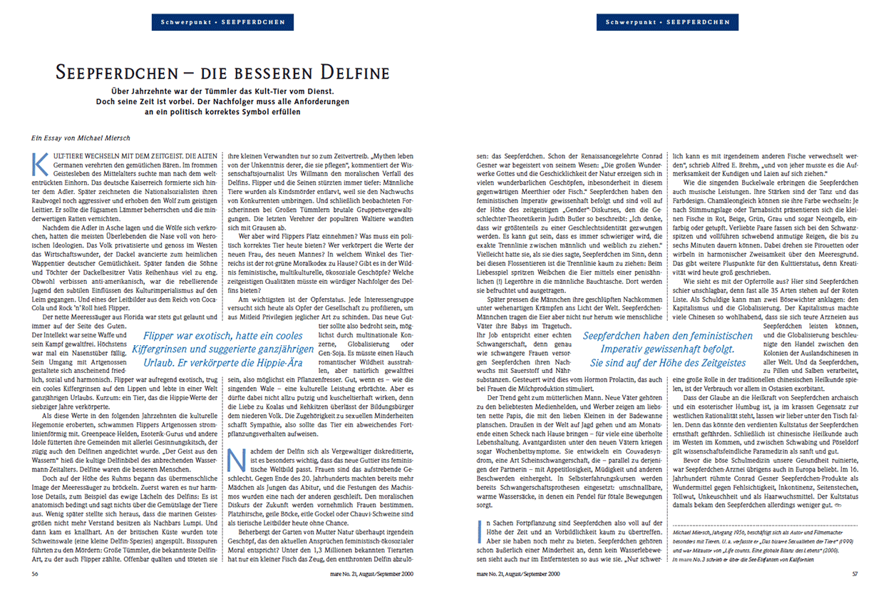 Seepferdchen – die besseren Delfine