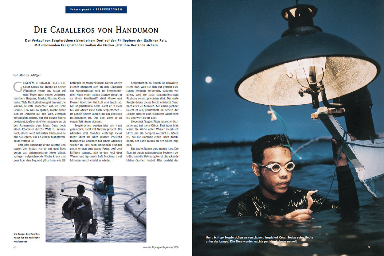 Die Caballeros von Handumon