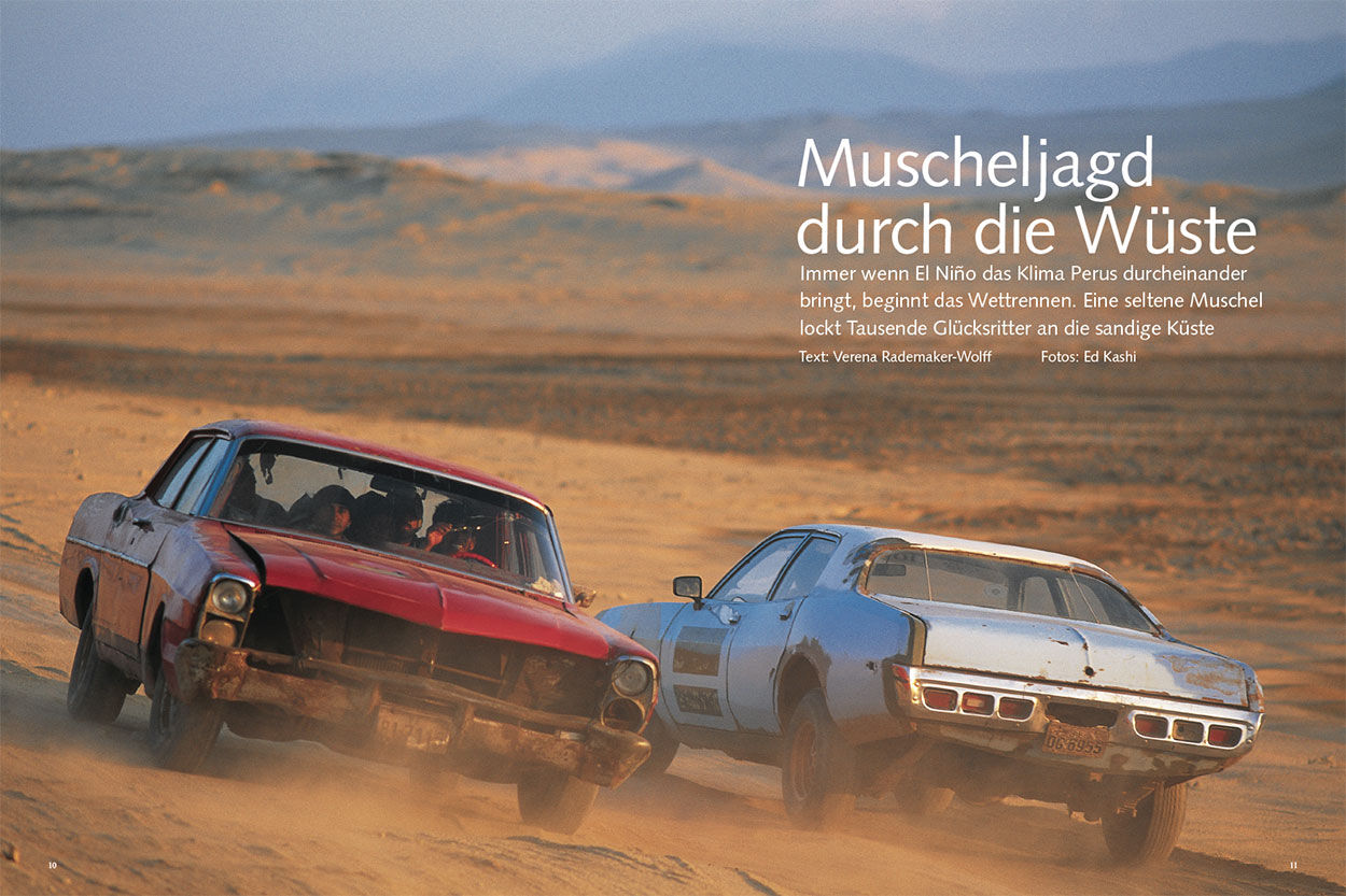 Muscheljagd durch die Wüste