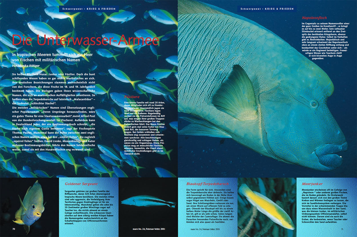 Die Unterwasser-Armee