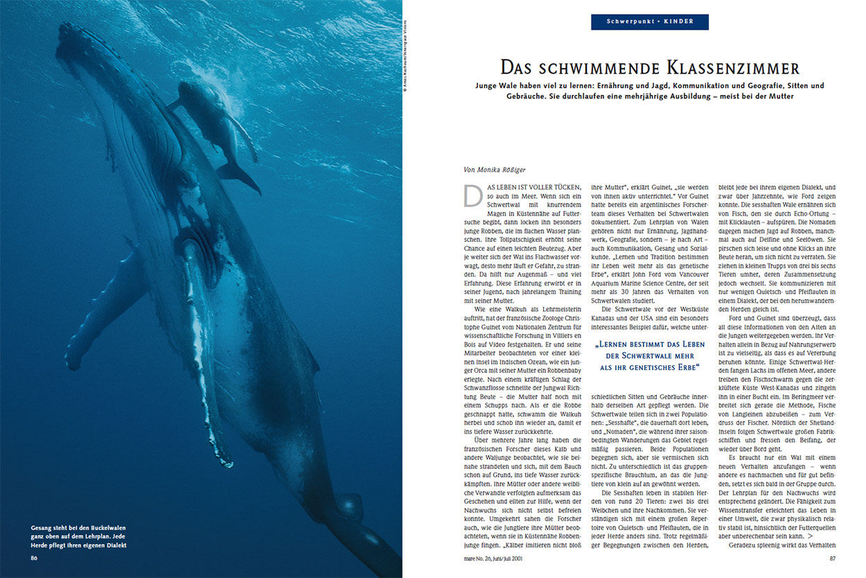 Das schwimmende Klassenzimmer