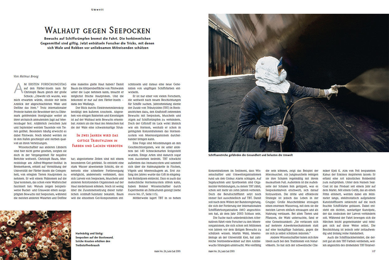 Walhaut gegen Seepocken