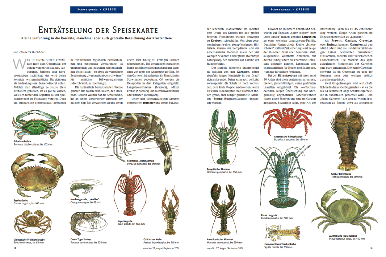 Enträtselung der Speisekarte
