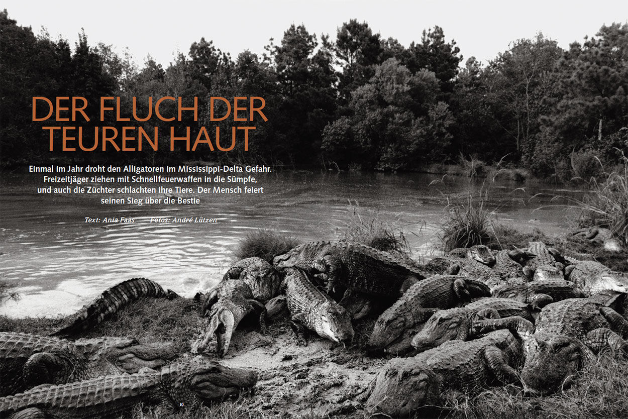 Der Fluch der teuren Haut