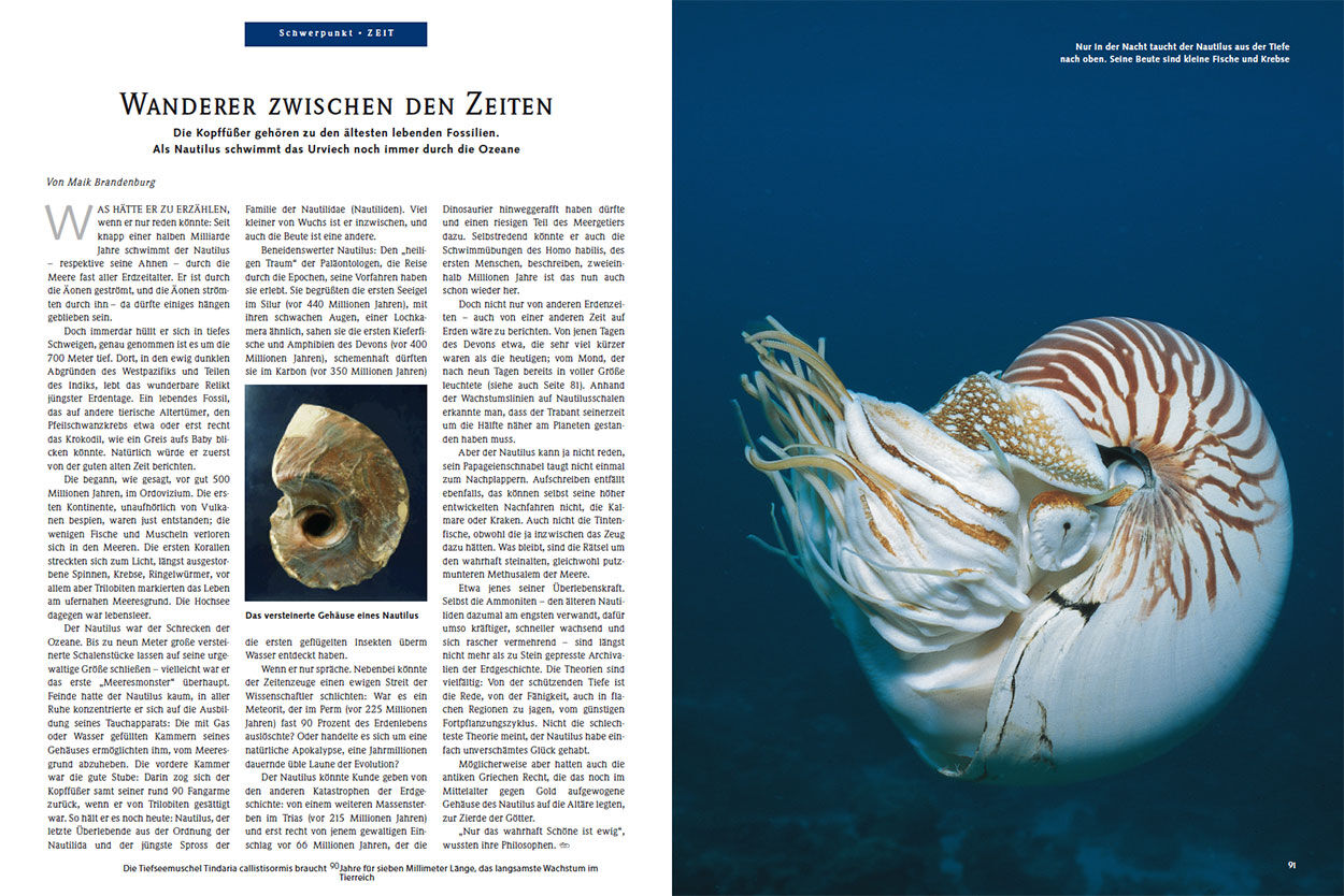 Wanderer zwischen den Zeiten