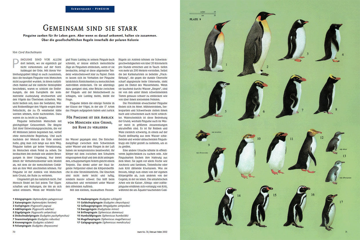 Gemeinsam sind sie stark