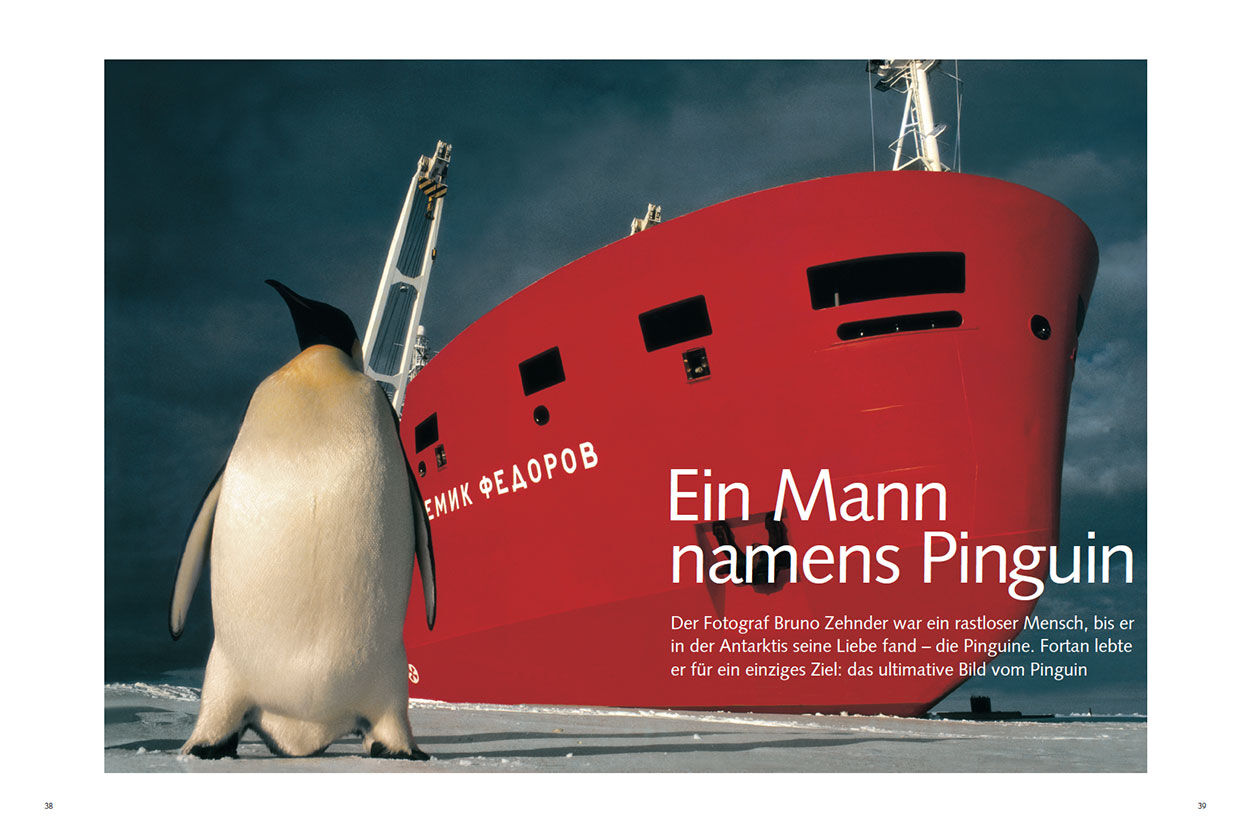 Ein Mann namens Pinguin
