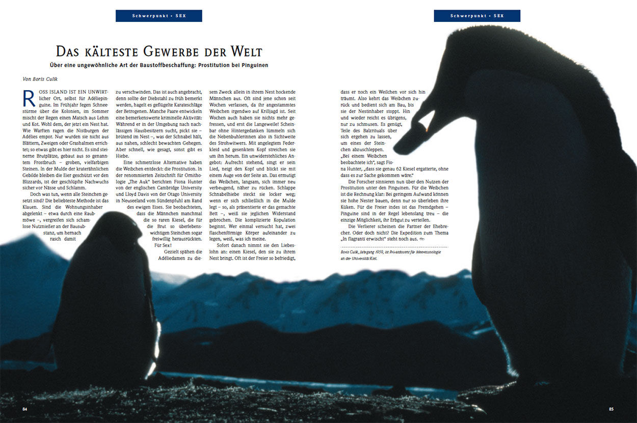 Das kälteste Gewerbe der Welt