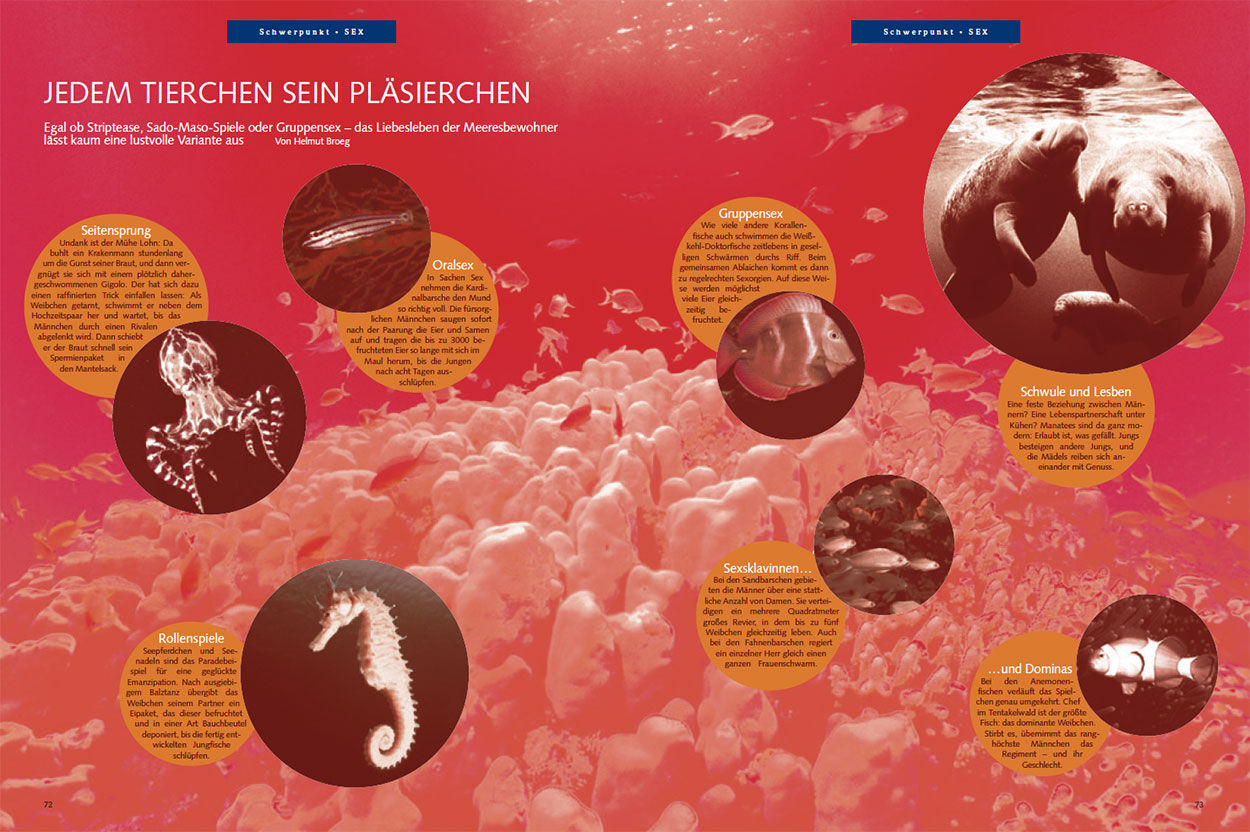 Jedem Tierchen sein Pläsierchen