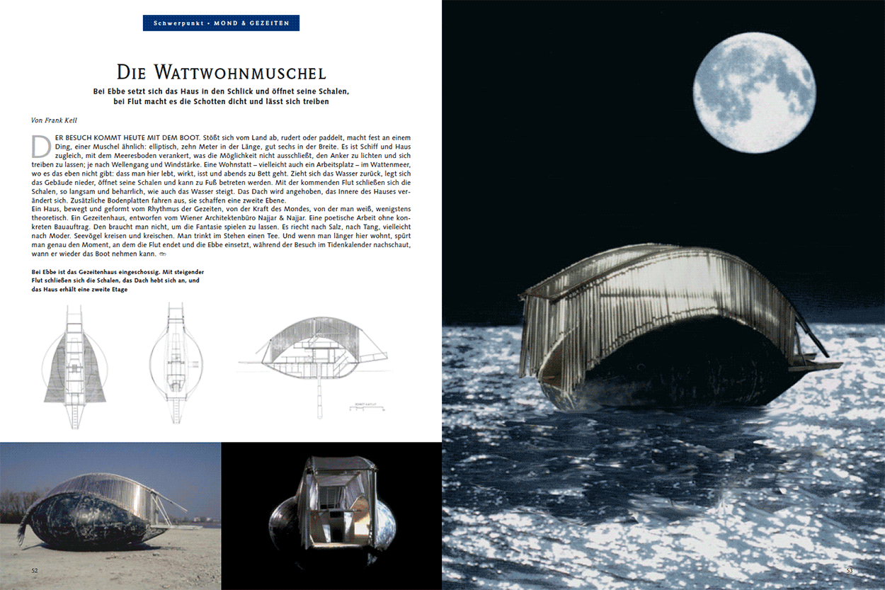 Die Wattwohnmuschel