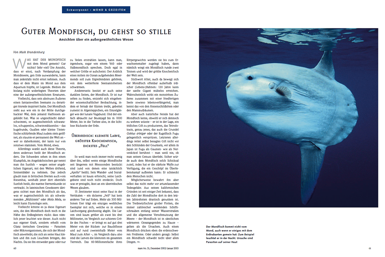 Guter Mondfisch, du gehst so stille