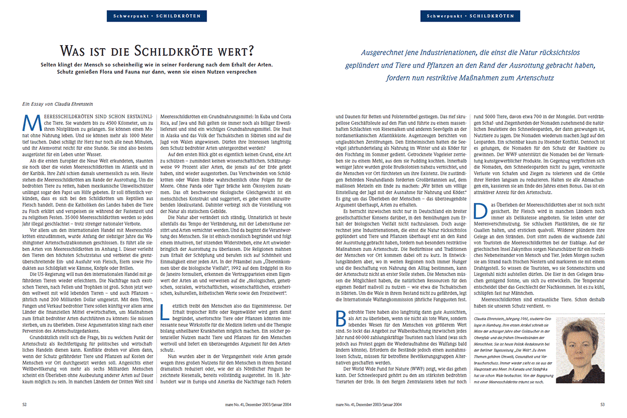 Was ist eine Schildkröte wert?