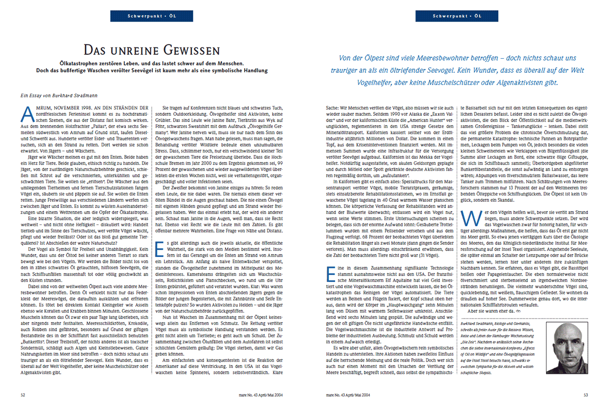 Das unreine Gewissen