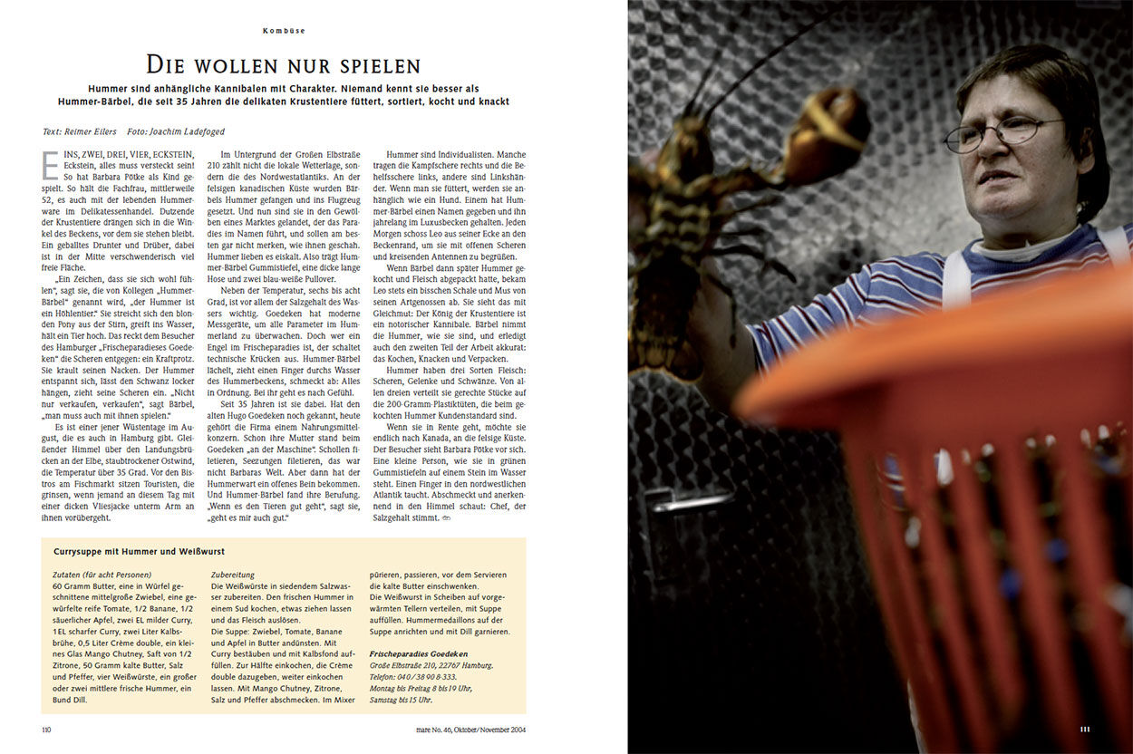 Die wollen nur spielen