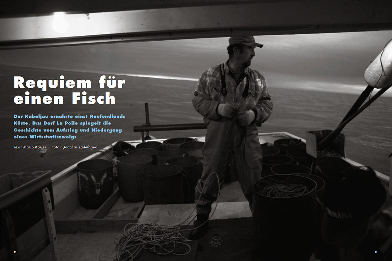 Requiem auf einen Fisch