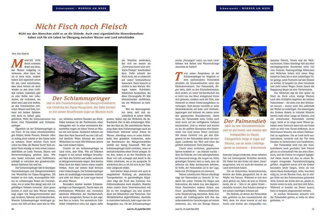 Nicht Fisch noch Fleisch