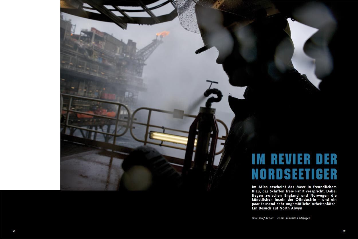 Im Revier der Nordseetiger