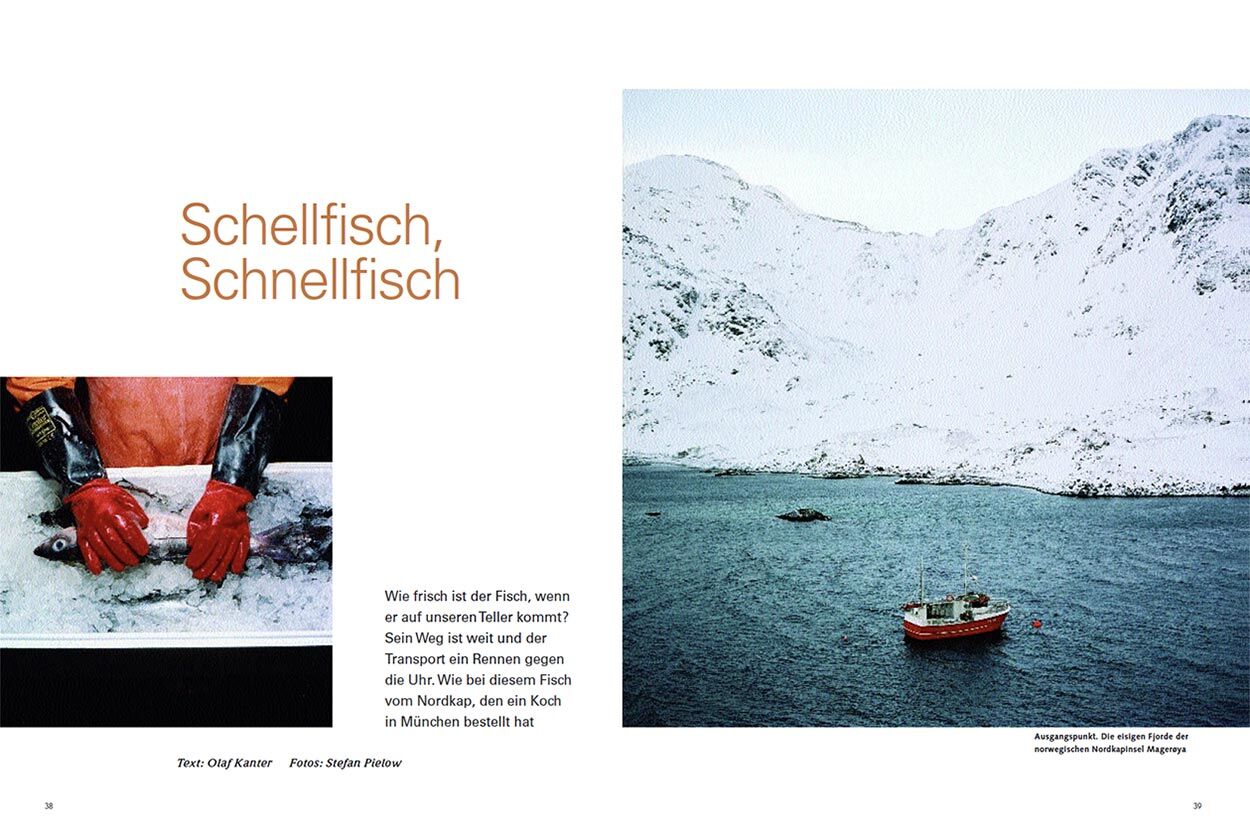 Schellfisch, Schnellfisch