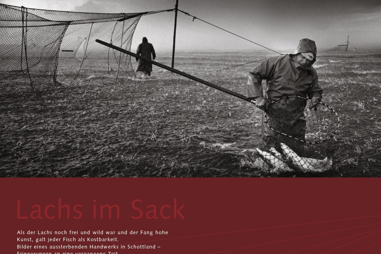 Lachs im Sack