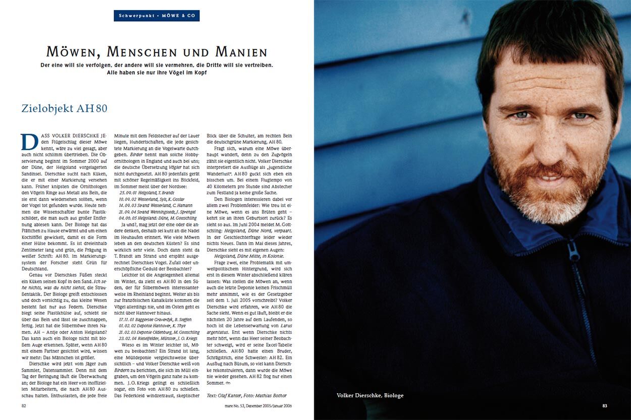 Möwen, Menschen und Manien