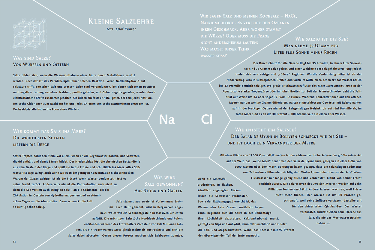 Kleine Salzlehre