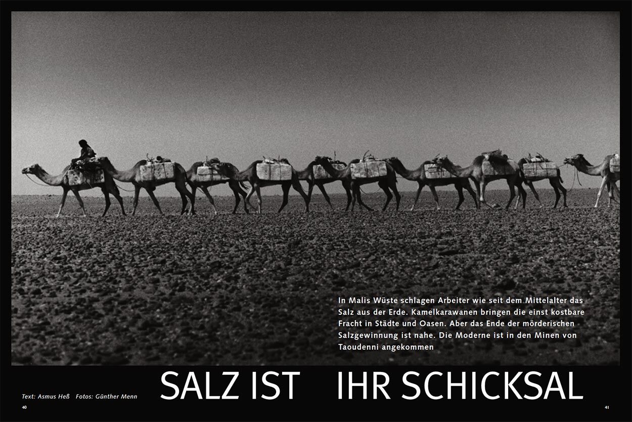 Salz ist ihr Schicksal