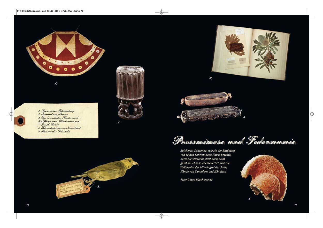 Pressmimose und Federmumie