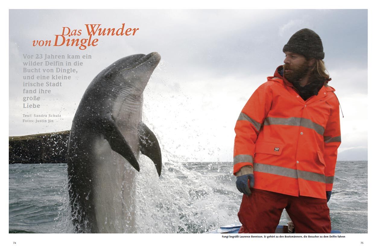 Das Wunder von Dingle