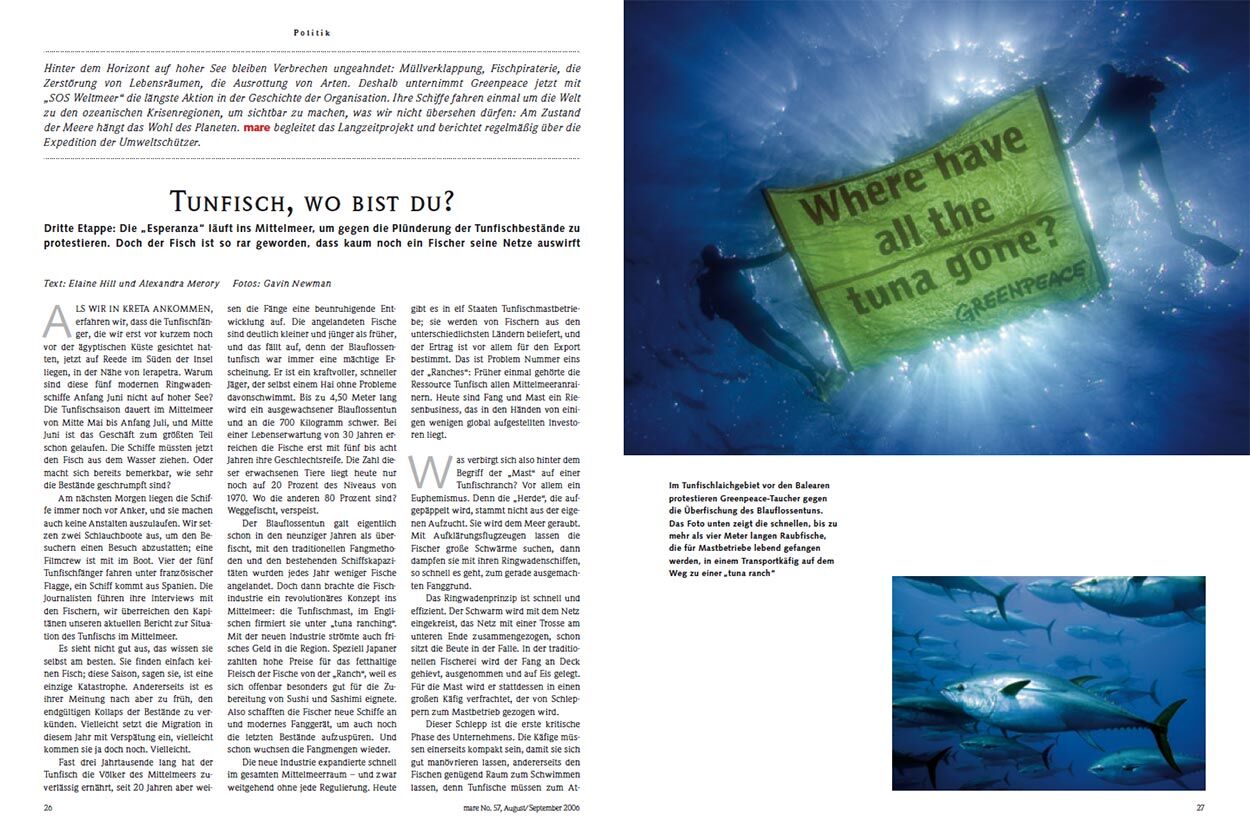 Tunfisch, wo bist du? 