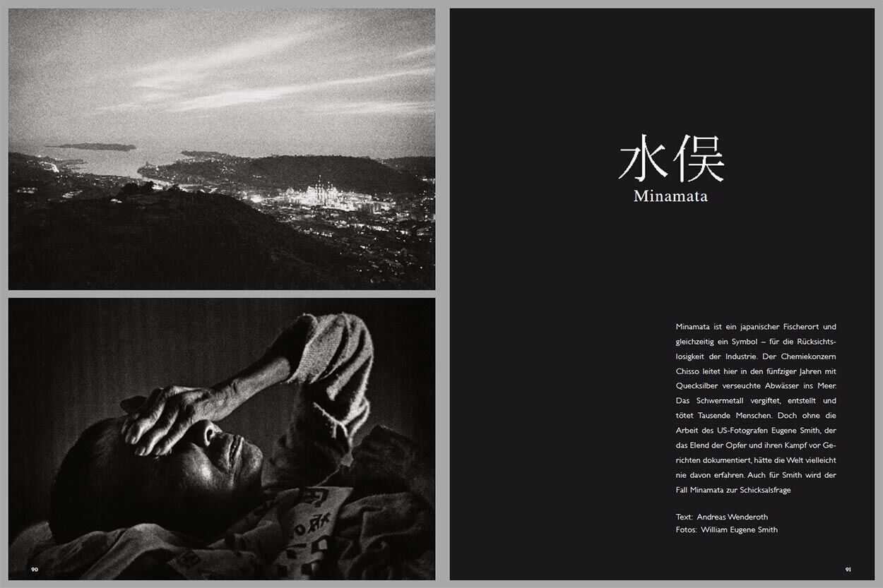 Minamata 